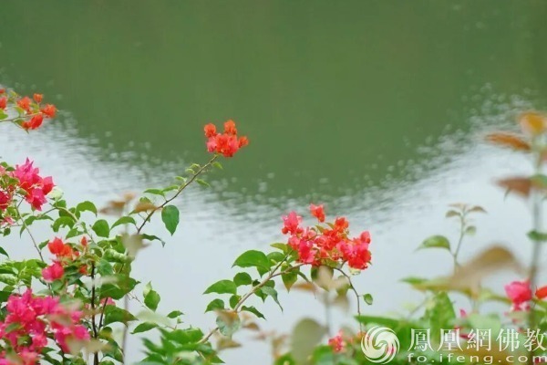 图片来源：网佛教文化 摄影：十愿