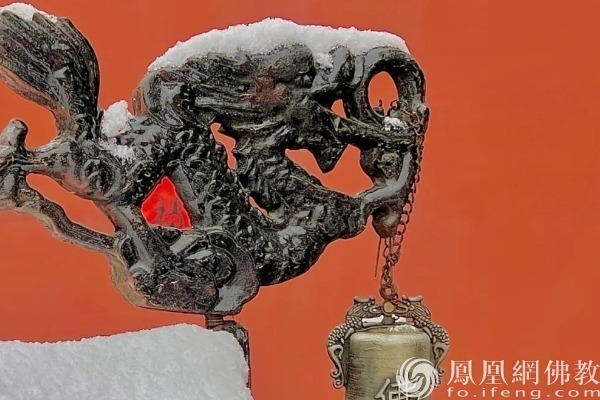 图片来源：网佛教文化 摄影：十愿