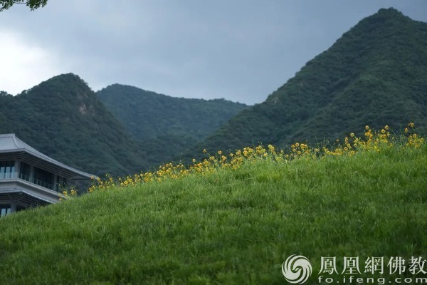 图片来源：网佛教文化 摄影：十愿