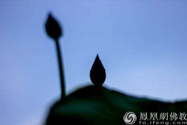 图片来源：网佛教文化 摄影：十愿