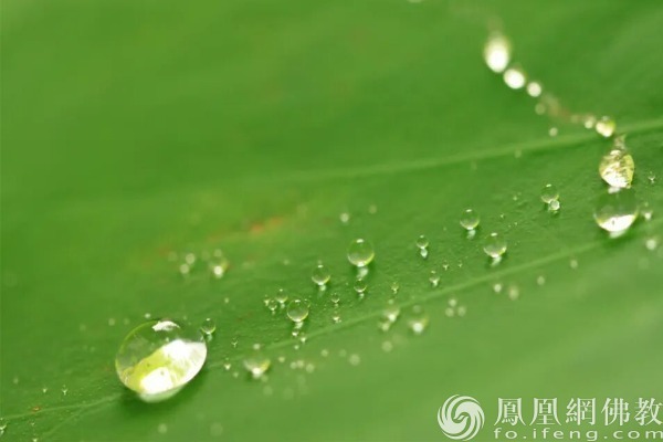 图片来源：网佛教文化 摄影：十愿