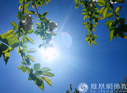图片来源：凤凰网佛教文化 摄影：闫秀勇