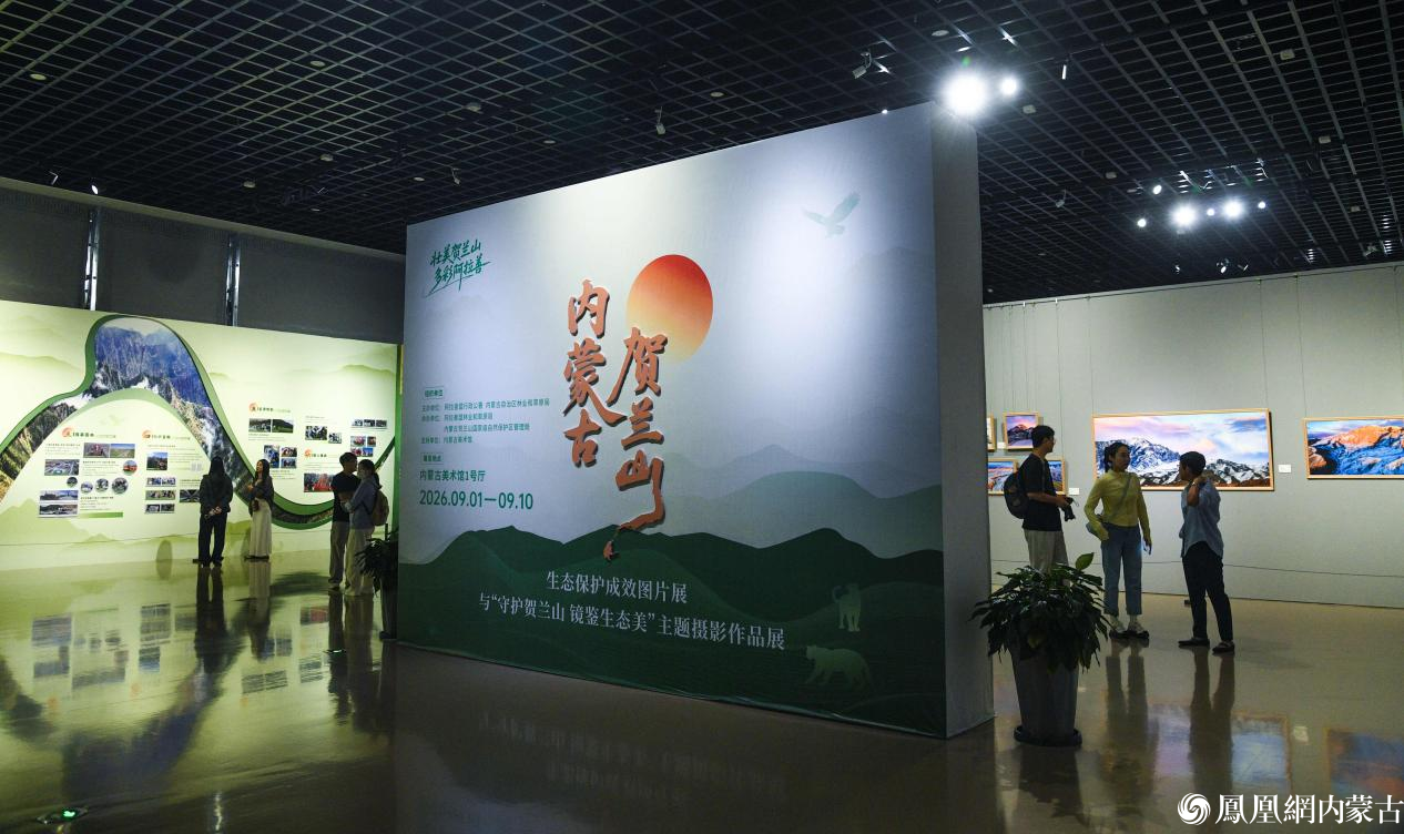 守护贺兰山 镜鉴生态美——贺兰山生态保护主题摄影作品展今日开展
