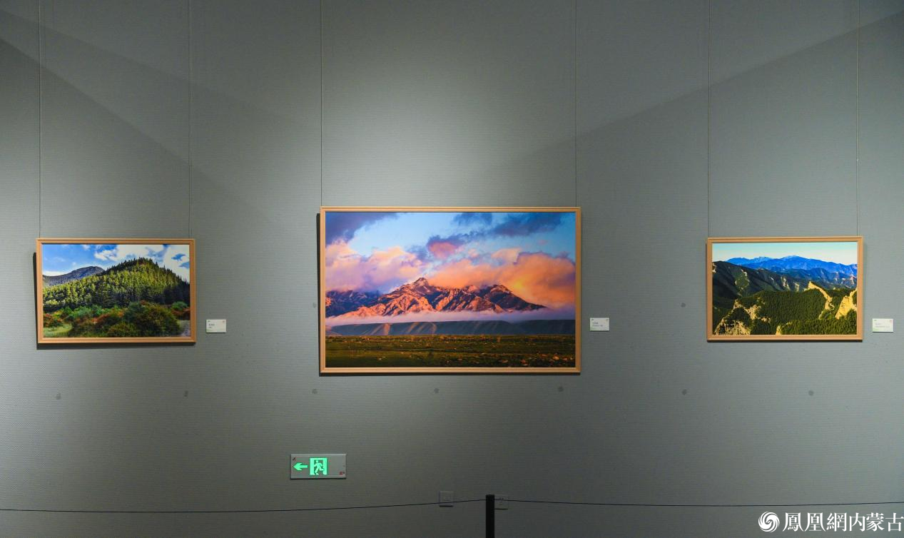 守护贺兰山 镜鉴生态美——贺兰山生态保护主题摄影作品展今日开展