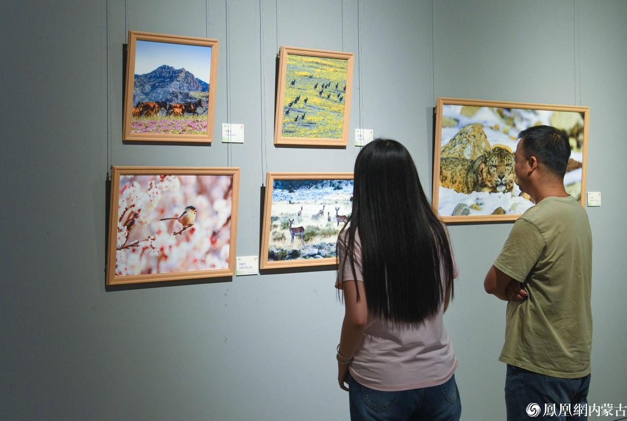 守护贺兰山 镜鉴生态美——贺兰山生态保护主题摄影作品展今日开展
