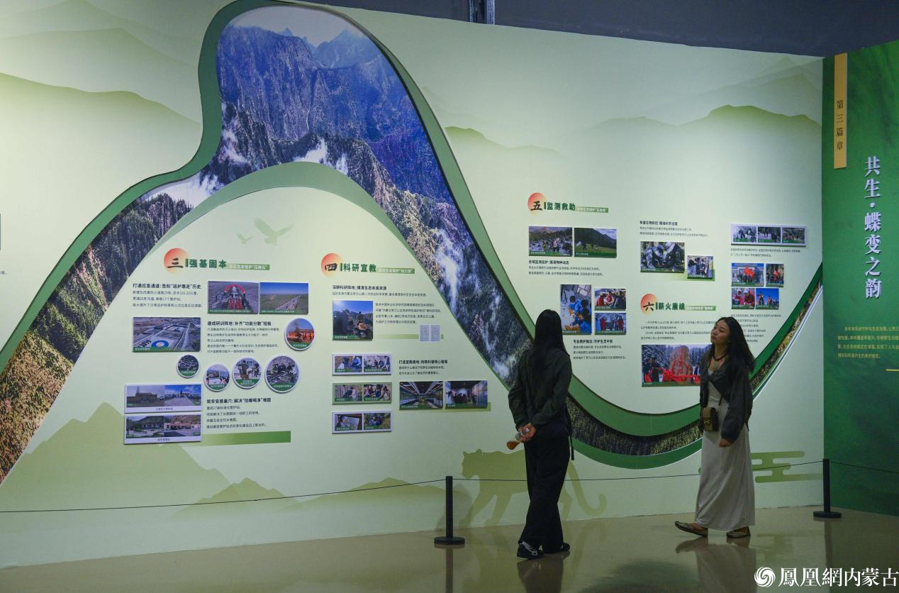 守护贺兰山 镜鉴生态美——贺兰山生态保护主题摄影作品展今日开展
