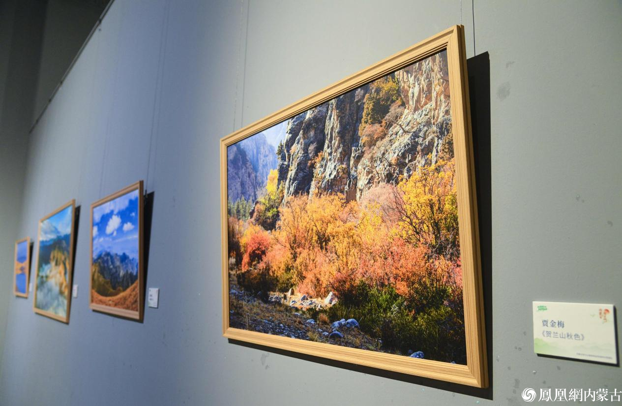 守护贺兰山 镜鉴生态美——贺兰山生态保护主题摄影作品展今日开展