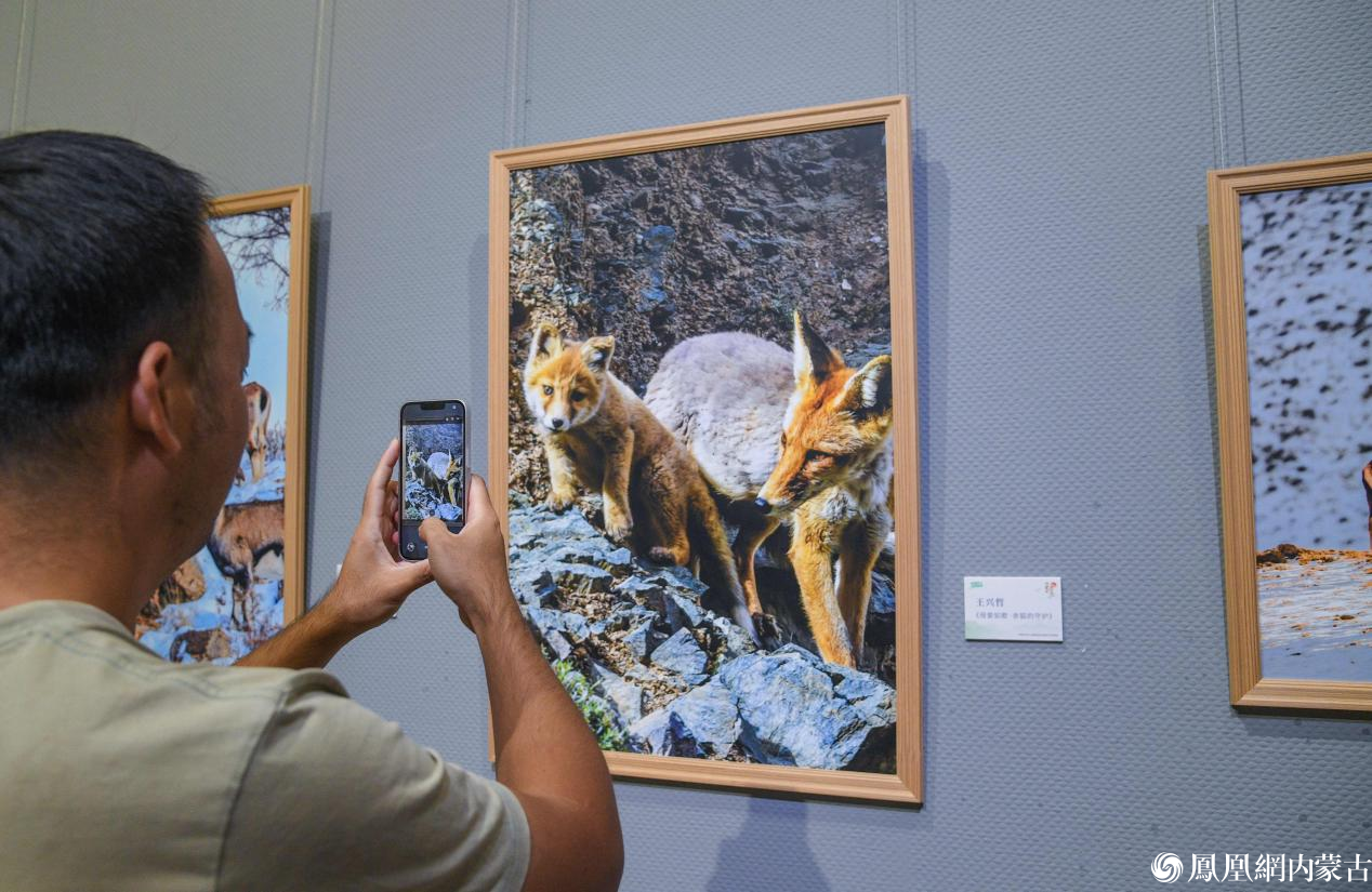 守护贺兰山 镜鉴生态美——贺兰山生态保护主题摄影作品展今日开展