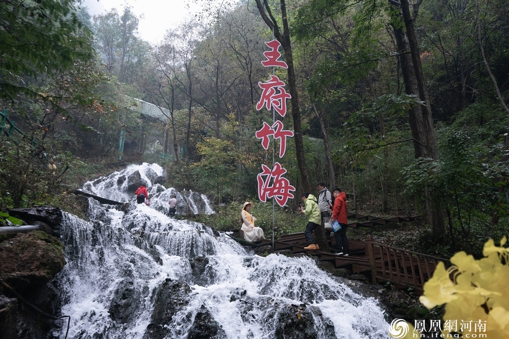 奔县游&middot;来栾川｜竹海听泉、山水寻幽 王府竹海绘就金秋生态画卷