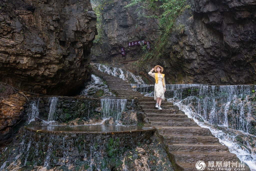 奔县游&middot;来栾川｜竹海听泉、山水寻幽 王府竹海绘就金秋生态画卷