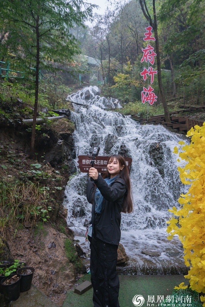奔县游&middot;来栾川｜竹海听泉、山水寻幽 王府竹海绘就金秋生态画卷