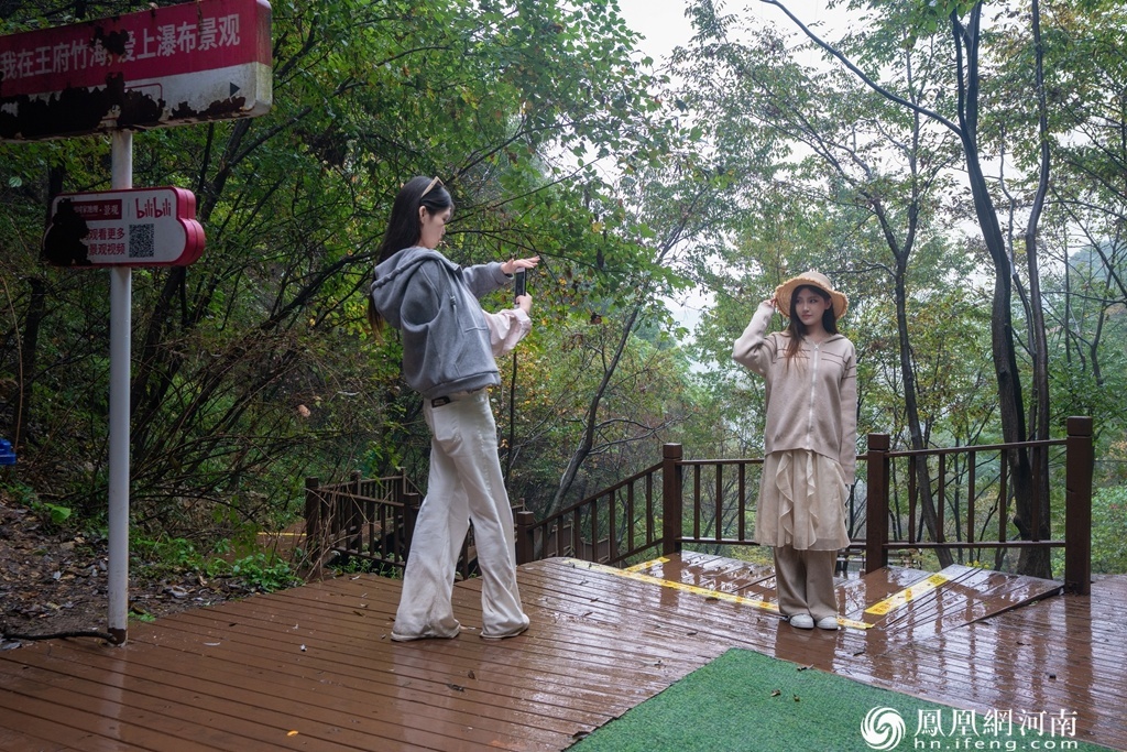 奔县游&middot;来栾川｜竹海听泉、山水寻幽 王府竹海绘就金秋生态画卷