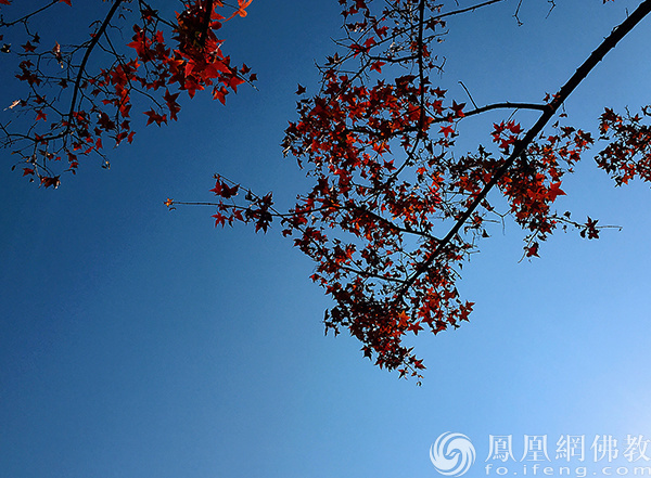 图片来源:凤凰网佛教文化 摄影:闫秀勇