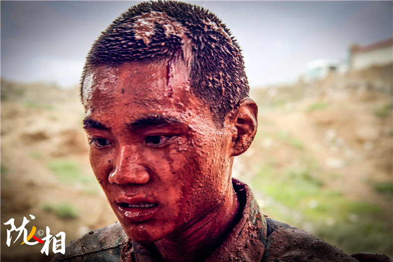 确认过眼神他们是最可爱的人