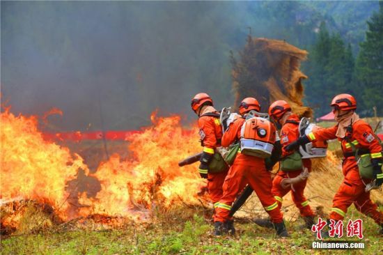 超燃甘肃陇南森林消防员火海炼真功