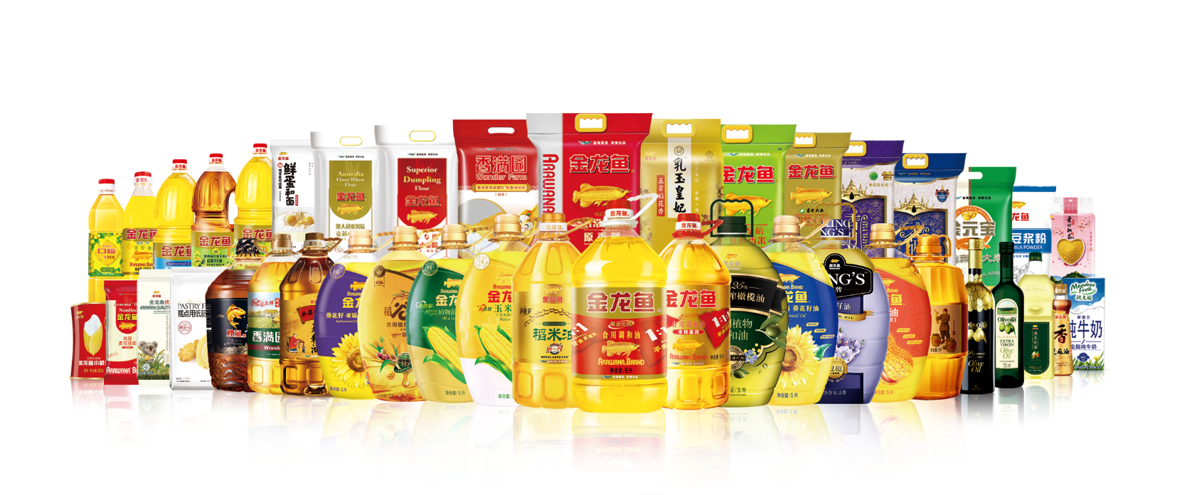 回首发展之路奠定上市基础展望未来益海嘉里集团再创佳绩