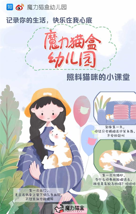 魔力猫盒幼儿园赋能科学养宠 为猫咪健康 好性情加分 安徽频道 凤凰网