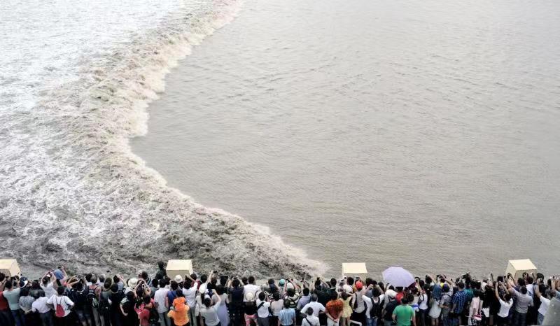 八月十八大潮(摄影杨利斌) 点击进入下一页