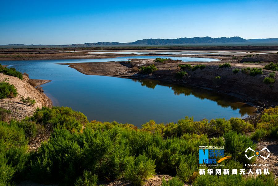 景泰白墩子湿地色彩瑰丽似花毯 甘肃频道 凤凰网