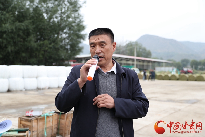 马进福介绍广河县牛羊产业发展马进福说,他们农业农村局测算过,以一头