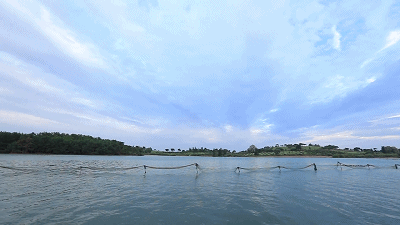 d927ccf5d2b9d3f_w400_h225.gif