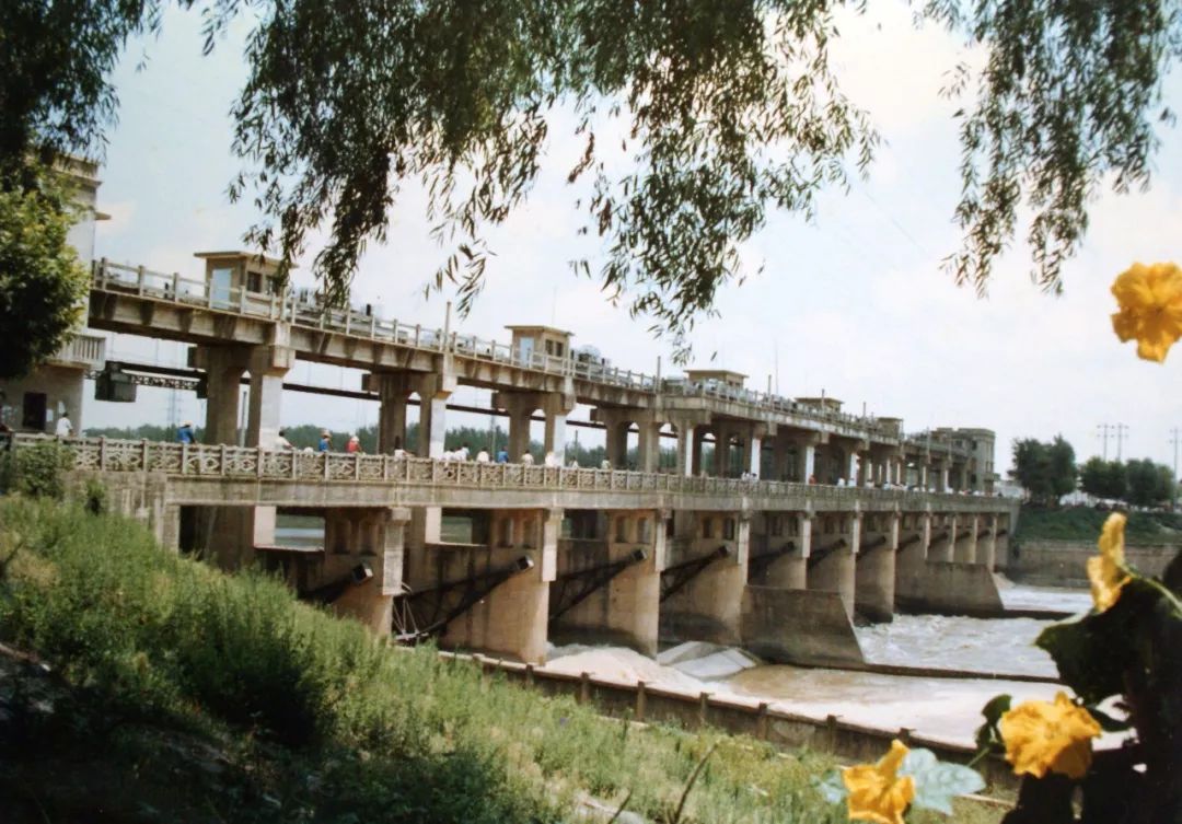 快看数百张阜阳老照片公开