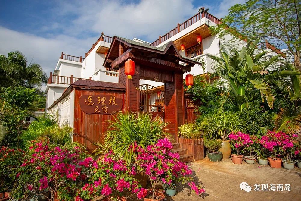 海口演丰镇山尾头村空壳村的美丽蜕变