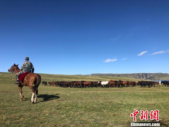 图为山丹马场的秋日牧马景致。　徐雪摄