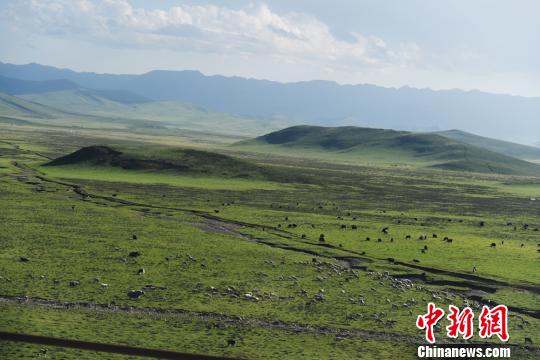 探访千年山丹马场：改良马匹提升“颜值”发展生态旅游