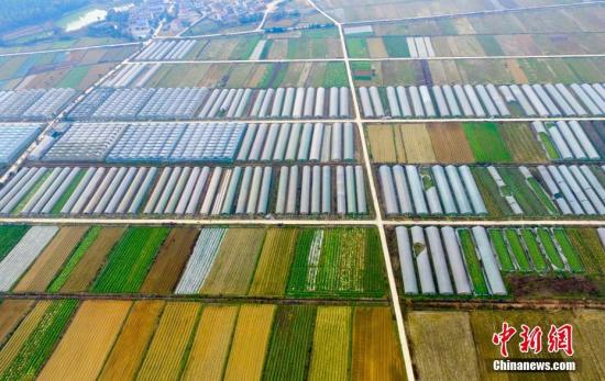 资料图：江西新余一家有机蔬菜种植园。 赵春亮摄