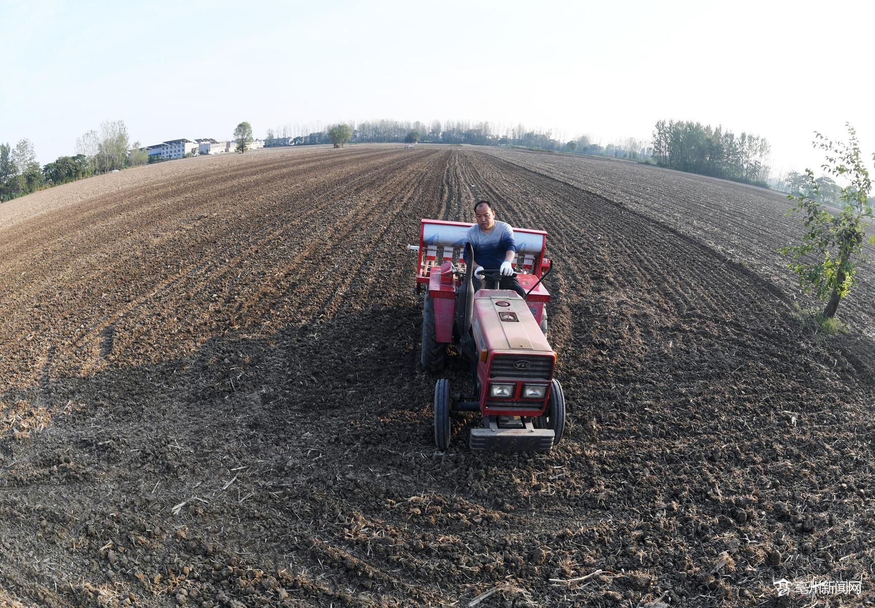 亳州谯城区农民抢墒播种冬小麦