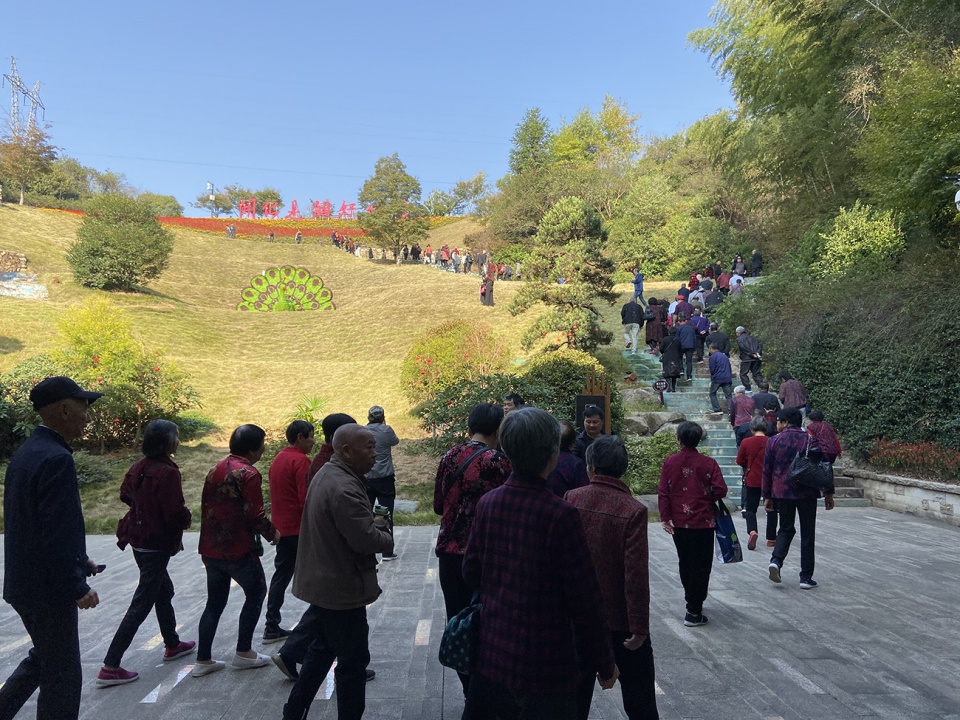 開化全域旅遊花牽谷景區激發一方經濟碩果