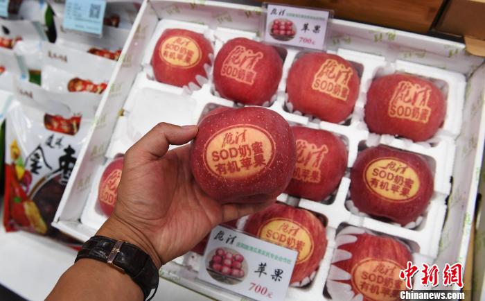 图为甘肃果农培育的SOD奶蜜有机苹果。(资料图) 杨艳敏摄