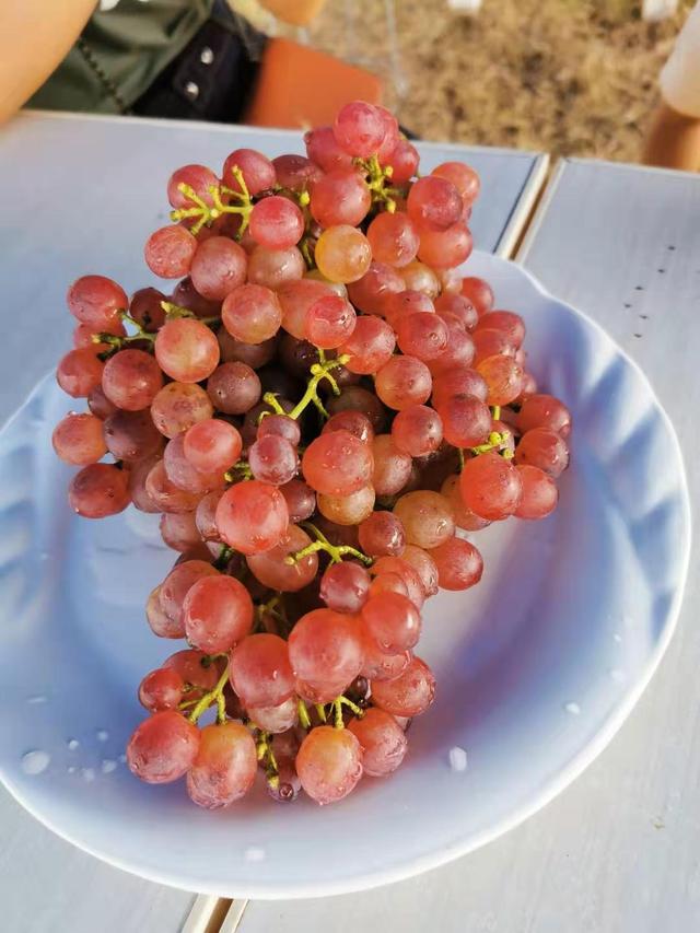 热销水果排行榜_进口水果销售降、国产水果销量增!砂糖橘、苹果、甜橙重上春节热...(2)