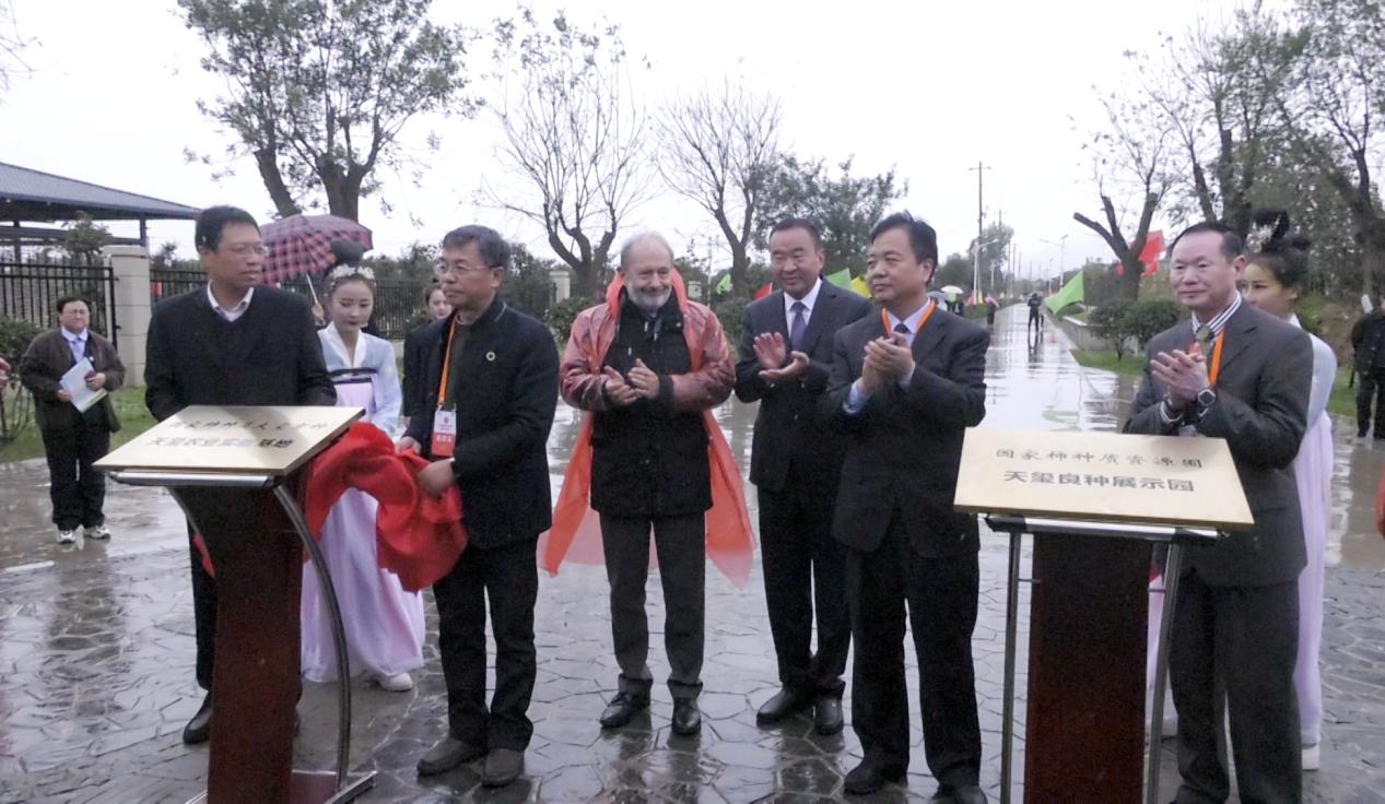 2019富平尖柿节大方集团天玺柿子小镇启新篇