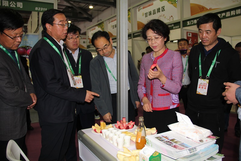 市委副书记马琨指导布展