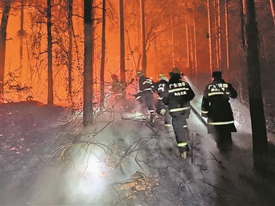 佛山:高明森林山火已全部扑灭 共出动834名消防员