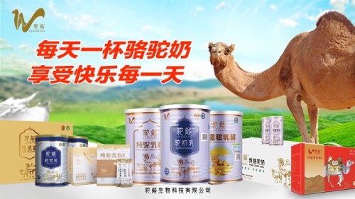 驼能签约品牌代言人陈红并荣登央视-带上驼能驼奶常回家看看