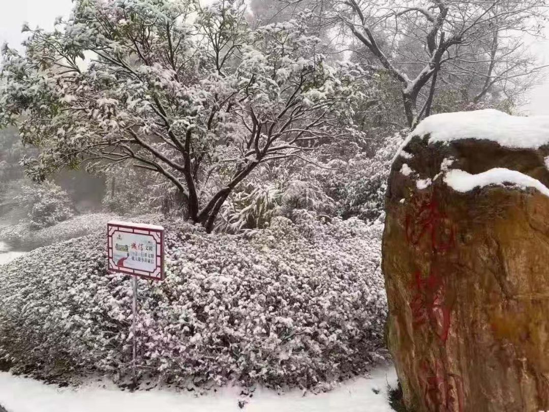 19日江西多地下雪 来看今冬的第一场雪(图)_江西频道_凤凰网