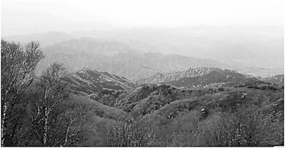 d45d6761619b23a_w400_h208.jpg
