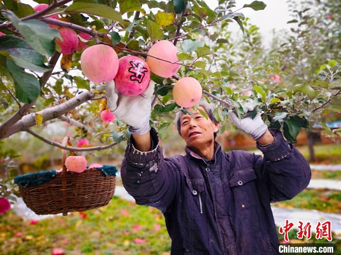 甘肃扶贫注重产业链构建因地制宜探“缺啥补啥”