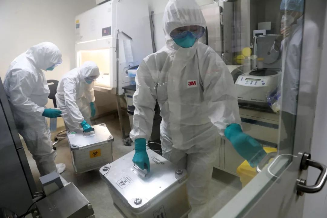 生物科研实验室视频 a71be6fa5585245_w1080_h720.jpg