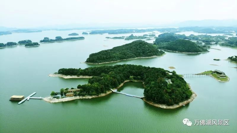 今日起萬佛湖景區正式開園!春色湖景已上線……_安徽頻道_鳳凰網