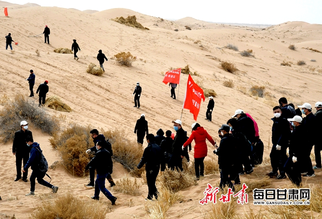 来自八步沙的Vlog｜沙漠“种树”，我教您！凤凰网甘肃_凤凰网
