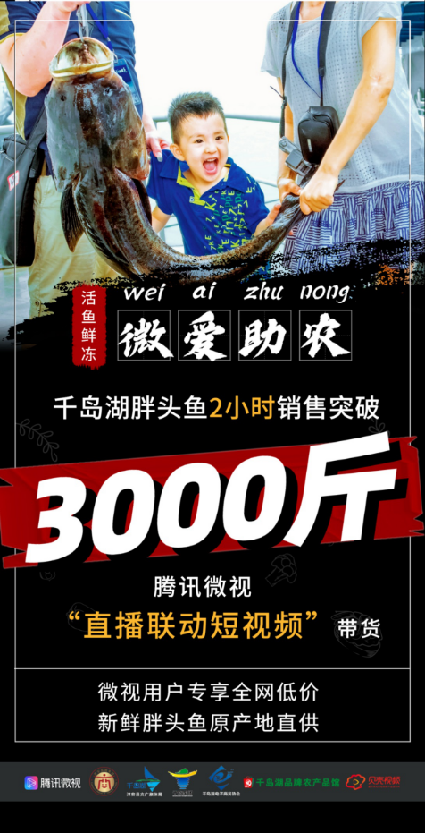 千岛湖胖头鱼直播开卖腾讯微视以直播联动线上助销活动