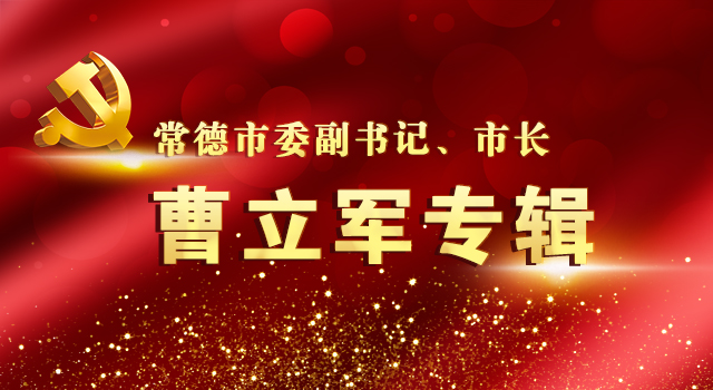 『万达广场』湖南省市领导调研常德万达广场复工保障工作