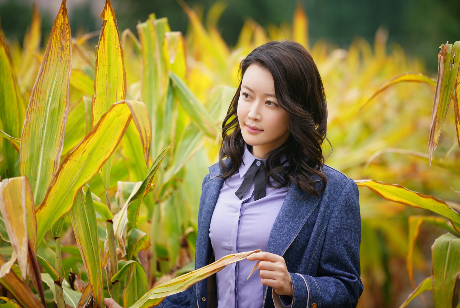 邱林主演电视剧一个都不能少央视今日首映