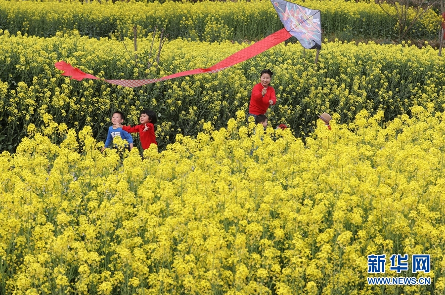 陇南成县好春光 踏青赏花正当时