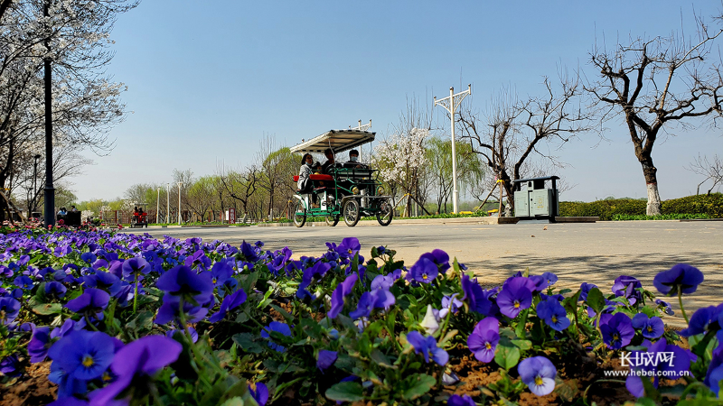 『游客』石家莊植物園、龍泉湖公園等試開園！