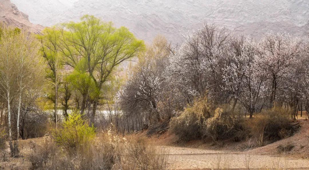 镜头中的野麻村 走进美丽乡村风景线
